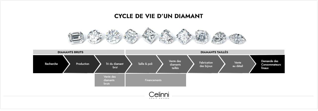 cycle de vie du diamant